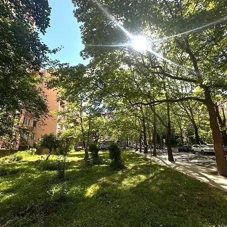 Avenue - Center * Kurdzhali