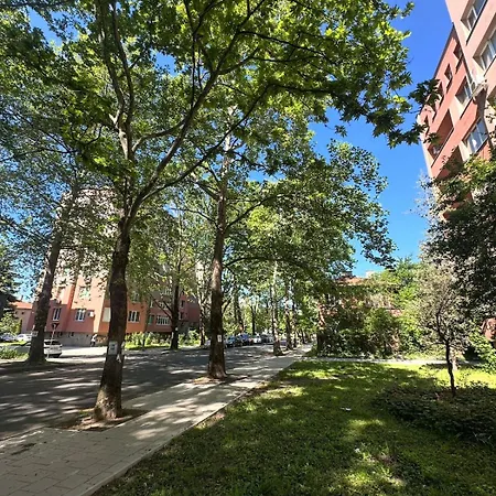 Avenue - Center *